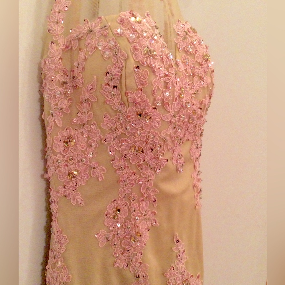 Pink Petal Jeweled Sequins Nude Lace Gown
